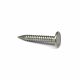 Nails Clouts Stainless Steel Roofing 1in (price per kg)