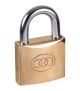 Tricity Padlock 75mm