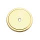 Back Plate Polished Brass (BP7603)