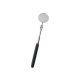 Telescoping Mirror (2140604)