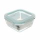 Fusion Gourmet Borosilicate Glass Food Container Square 530 ml (750-SQ530)