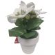 Glitter Poinsettia In Ceramic (201-8900134)