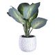 Concepts Life Rohdea Artificial Plant in Pot 36cm
