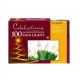 Christmas Lights Incandescent Clear 100pk (9826009)