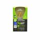 LED 7W Clear Filament Style