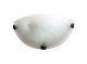 Westinhouse Murano Glass Light (67419)