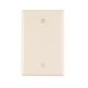 Blank Wallplate Thermoset  2in x 4in (36051)