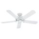 Hunter Bridgeport Ceiling Fan 52in (53125)