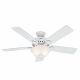 Hunter Fan Builder Deluxe 52in