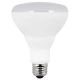 Indoor LED Flood Bulb 65w Style Z-Wave BR30 2pk