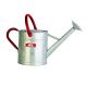 Watering Can Galvanized 2 gal