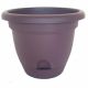 Lucca Planter Exotica 6in