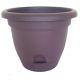 Lucca Planter Exotica 8in