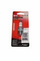Champion Spark Plug RJ19LM