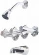 Briggs Tub and Shower Faucet (308)