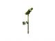 Toilet Ballvalve Brass 1/2in