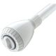 Waterpik Technologies Watersaver Showerhead