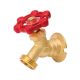 Sillock Valve 3/4 FPT (4866307)