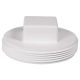 Plug Cleanout Waste 1-1/2in