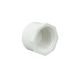 End Cap Threaded Schedule 40 1in