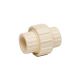 Union Socket CPVC 3/4in