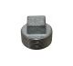 Plug Galv 2in