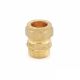 Adaptop Comp. Male Brass 1/2in