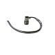 Towel Ring Chrome (3300-5)