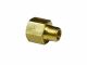 Reducing Coupling 1/8in x 1/4in FPT (4505236)