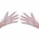 Alexandra Disposable Gloves 100pk