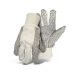 Canvas Dot Palm Gloves (7795164)