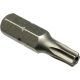 Torx Screwdriver Bit T10 x 1in (2105898)