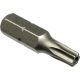 Torx Screwdriver Bit T15 x 1in (2105906)