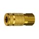 Tru-Flate Air Coupler A 1/4in FNPT (1000892)
