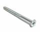 Screw Zinc 12 x 2in
