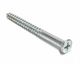 Screw Zinc 12 x 3in