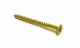 Screw Brass 14 x 2in