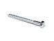 Screw Lag Galvanized 1/4 x 2in