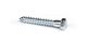 Screw Lag Galvanized 5/16 x 2in