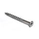 Screw Deck Stainless Steel 10 x 2-1/2in