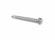 Screw Self-Drilling HWH Stainless Steel 12 x 2in